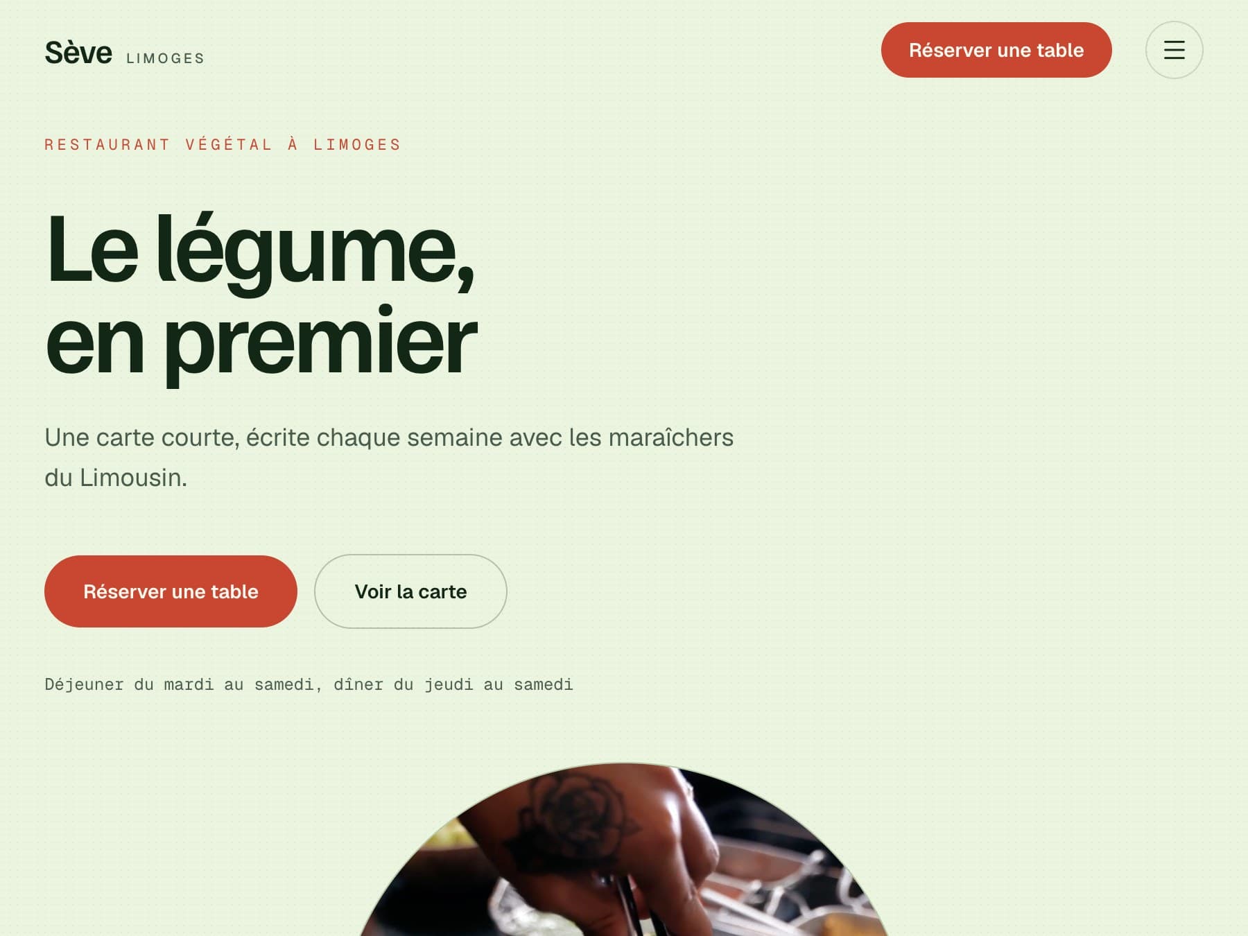 Aperçu du site concept Sève