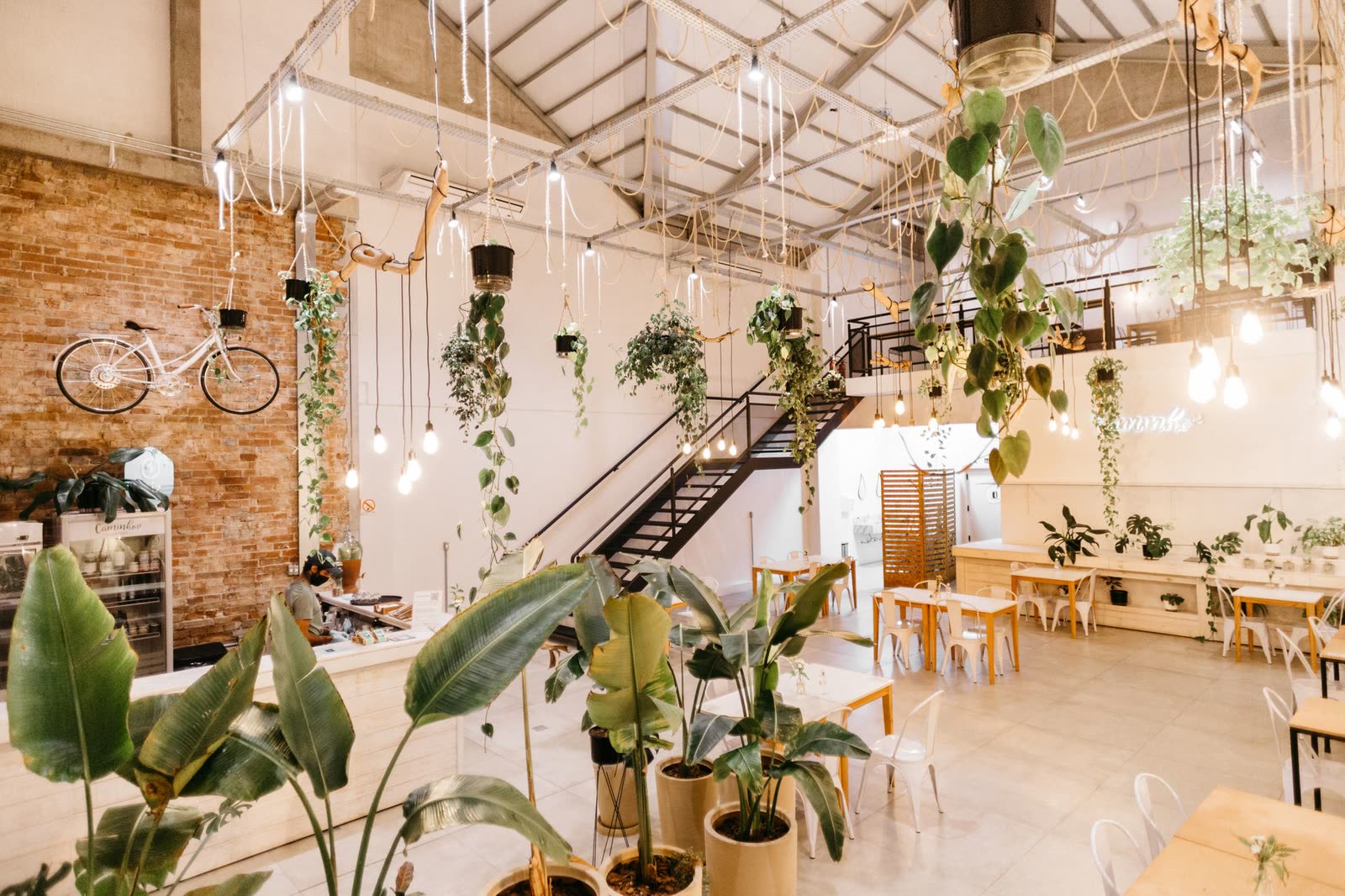 Salle claire du restaurant, plantes suspendues et verrière